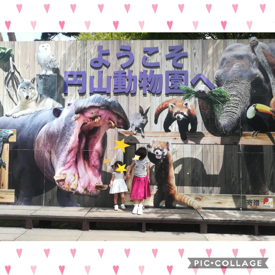 【札幌市円山動物園】1歳児も興味津々！行動展示のおもしろい新施設が続々オープン！