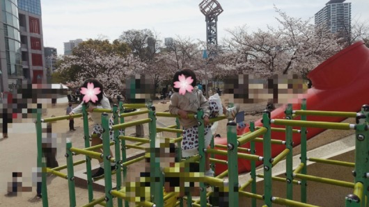 桜開花状況2021年大阪扇町公園子連れお花見遊具