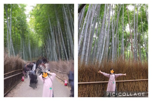 子連れ京都嵐山竹林の小径小1女子娘