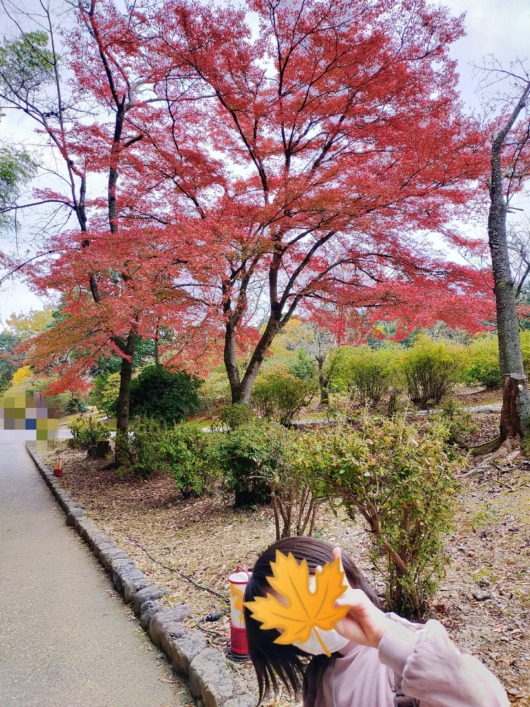 子連れ京都嵐山亀山公園紅葉小1女子娘