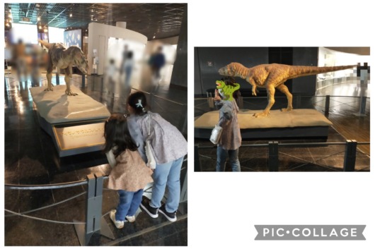 福井県立恐竜博物館小2と4歳動く恐竜小さい方ミニレックス